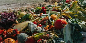 [Kompostierung für Dummies] Informieren Sie sich – verantwortungsvolle Behandlung der Bioabfälle