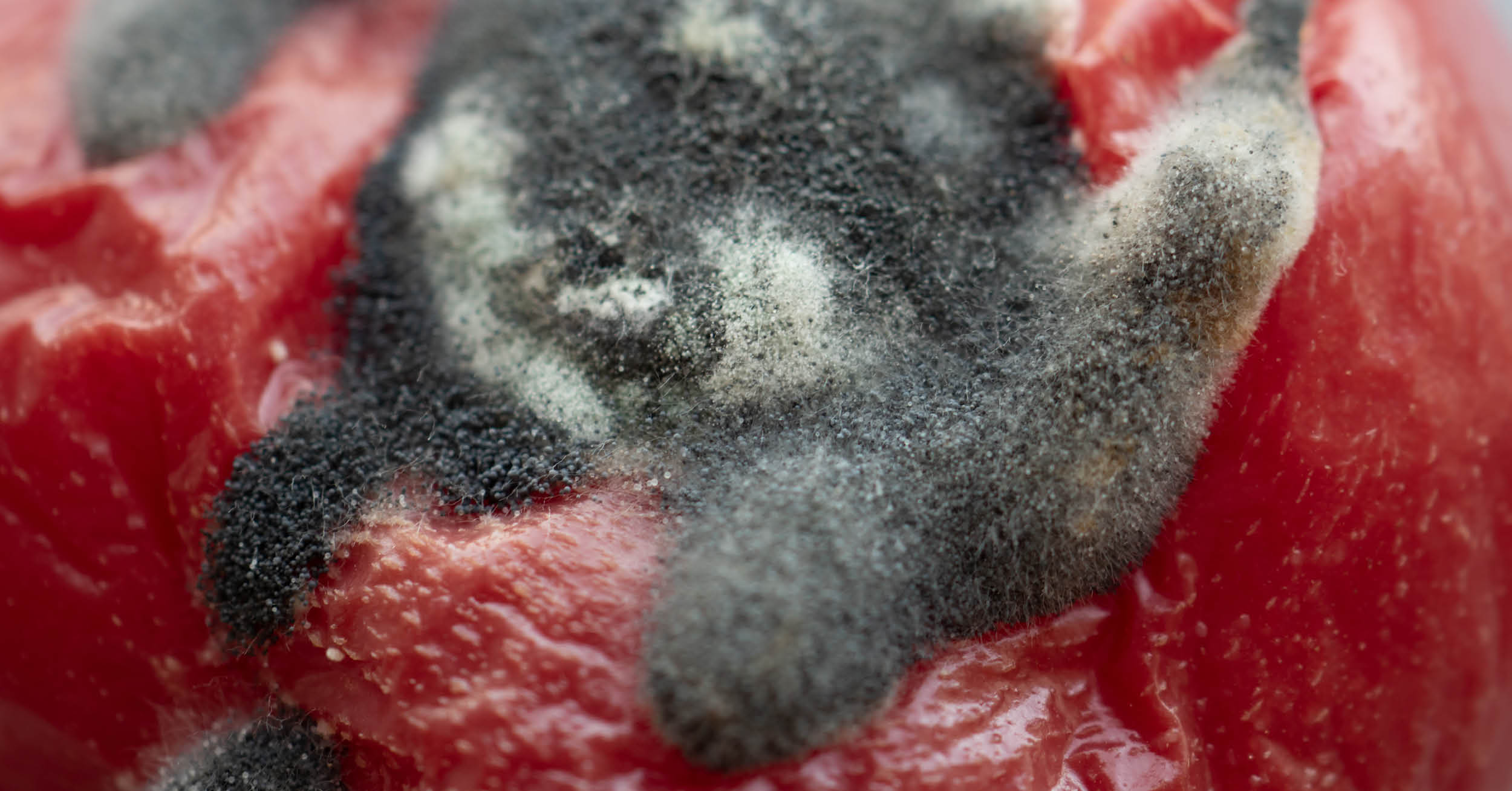 Blak mold is an indication that the decomposition is not going as it should (2)