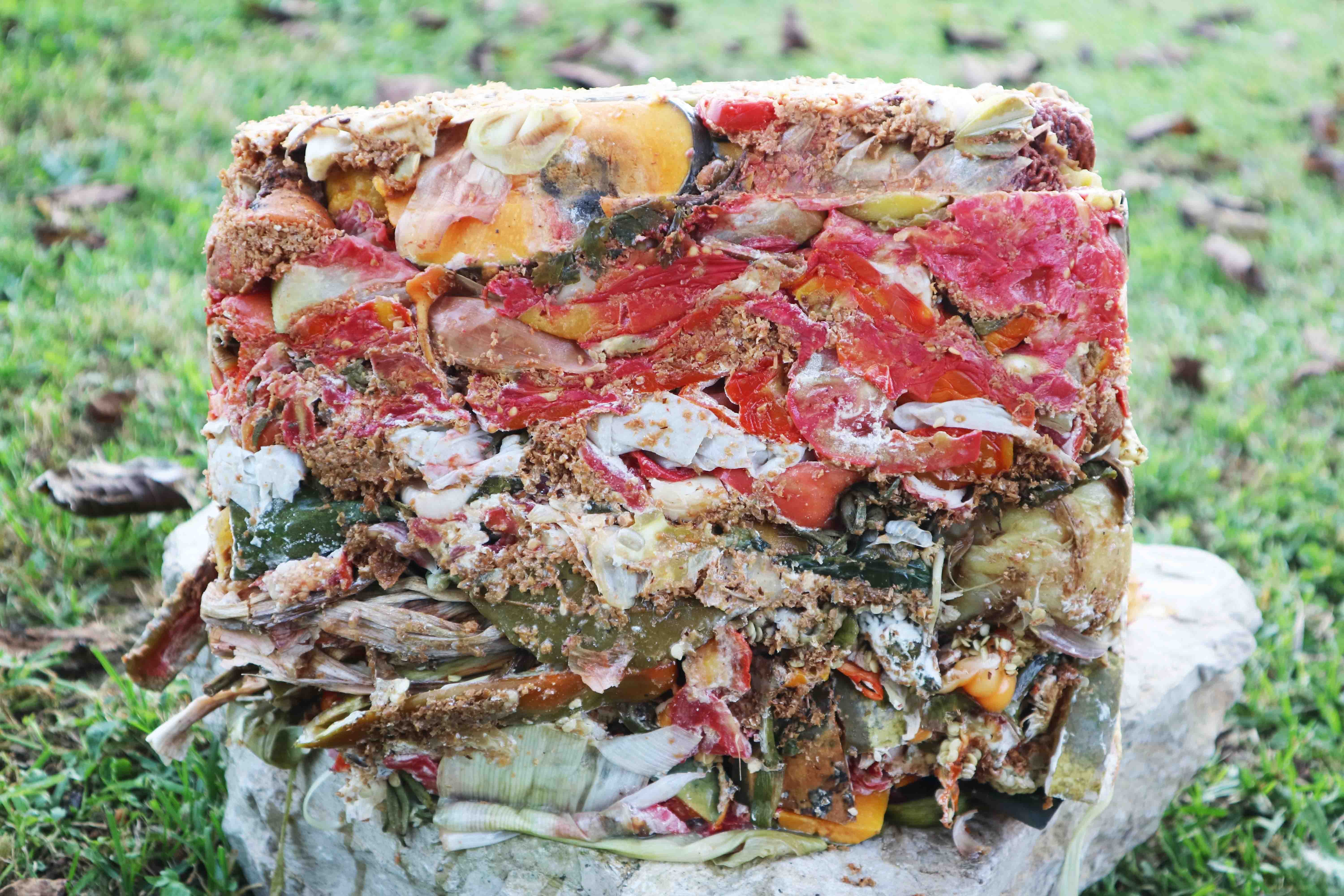 Fermented bio-waste from Bokashi Organko