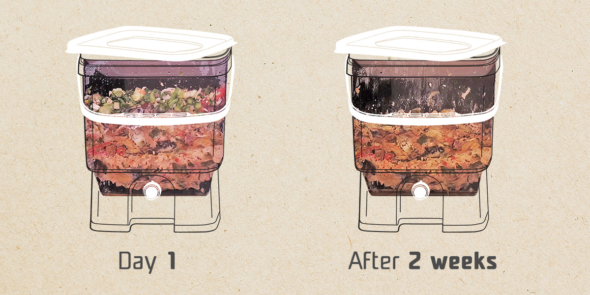 Bokashi composting in winter - Fermented Mass
