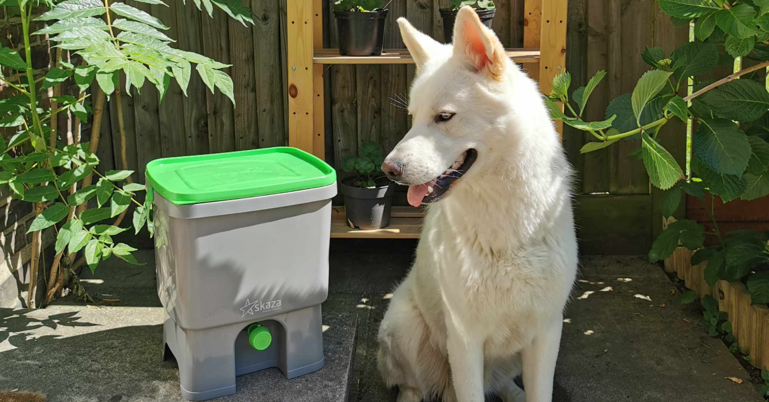 Bokashi organko can be used to compost dog hair