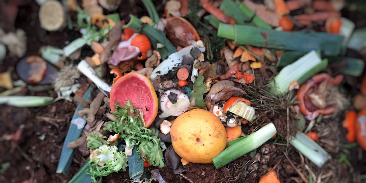 Community composting plays an important role in ensuring a sustainable future