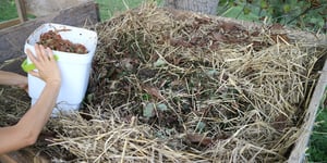  Verschiedene Arten der Kompostierung 