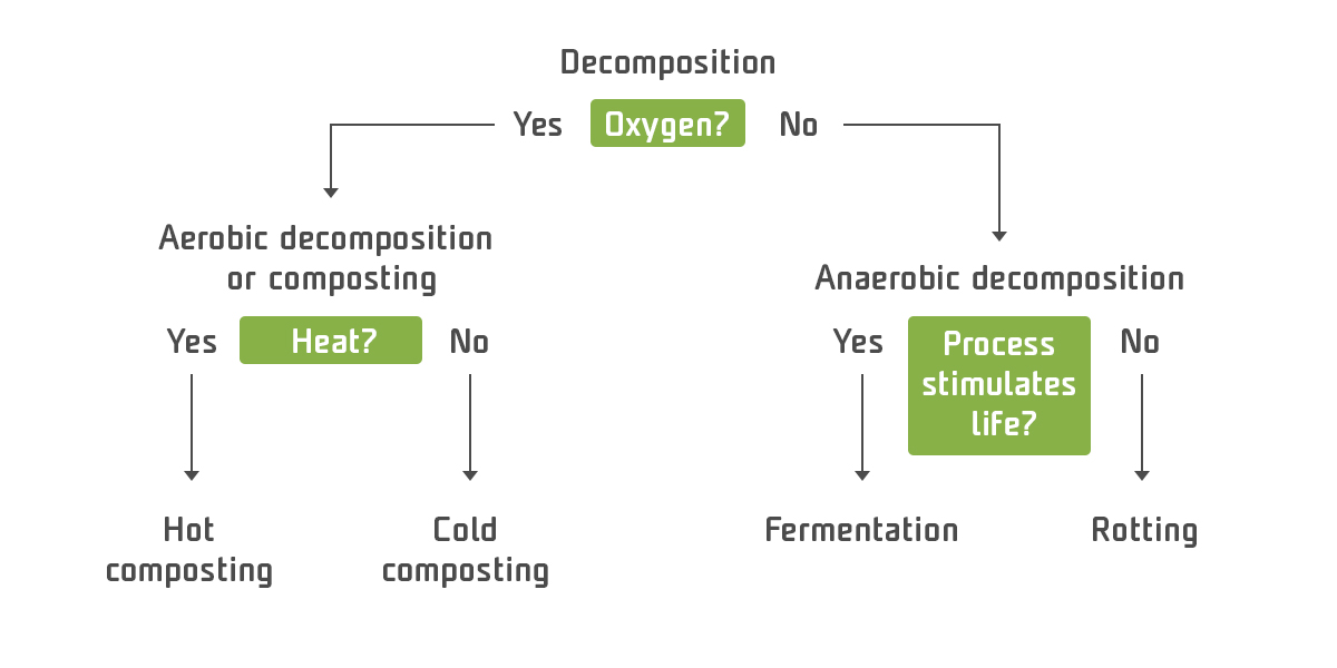 Faktoren, die den Kompostierungsprozess beeinflussen – Infografik