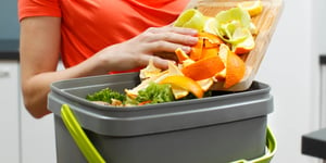 What is fermentation process in bio-waste composting?