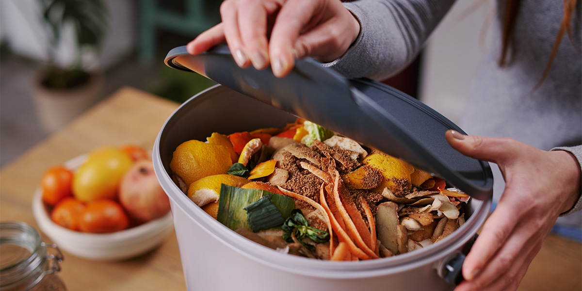 Find your way to minimize food loss and waste