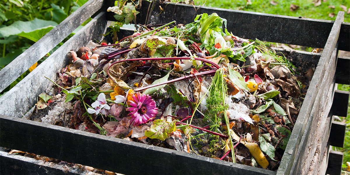 Food loss and waste issues can be solved