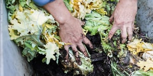 Was sind anaerober Kompost und anaerobe Zersetzung