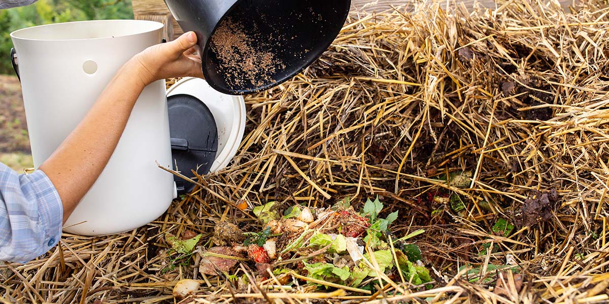 Wenn Sie ein Bokashi Organko-Benutzer sind, geben Sie Ihren fermentierten Inhalt auf den Komposthaufen