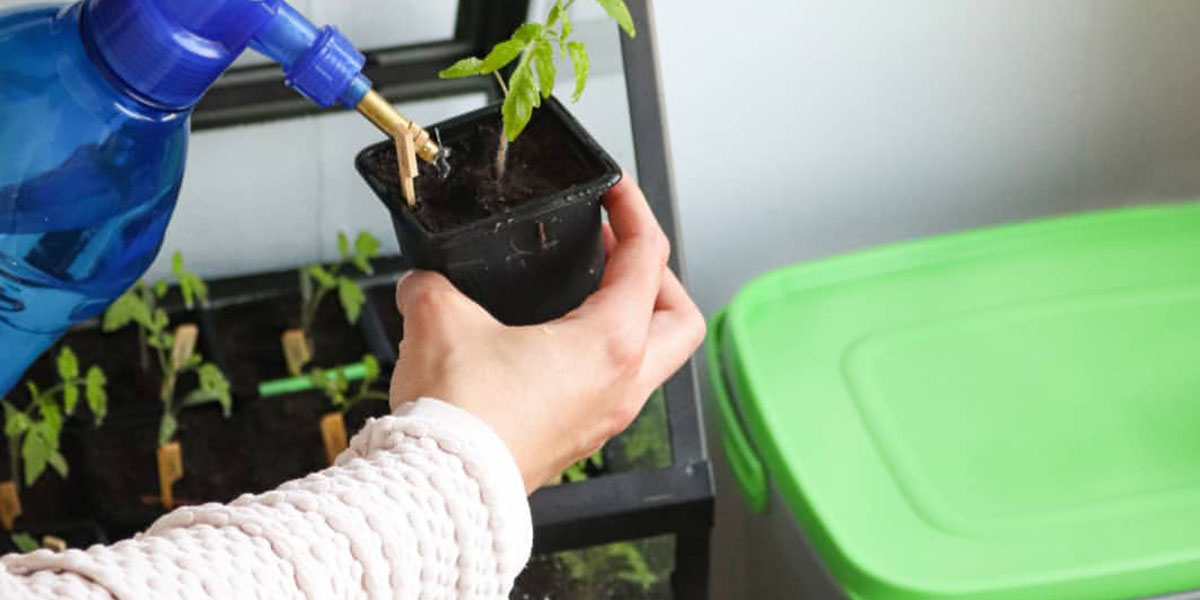 Adding fermentation liquid significantly improves the yield of crops