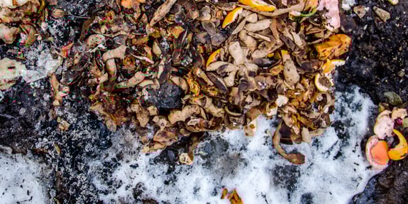 Is white mold in compost during the fermentation process good or bad?