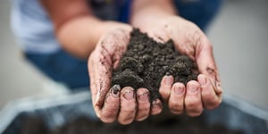 On World soil day: How to ensure healthy and active soil