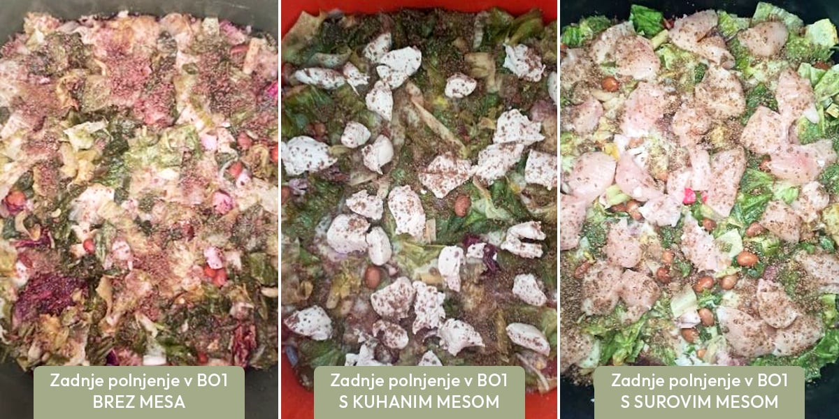 Results and key takeaways of our Can we compost raw meat experiment