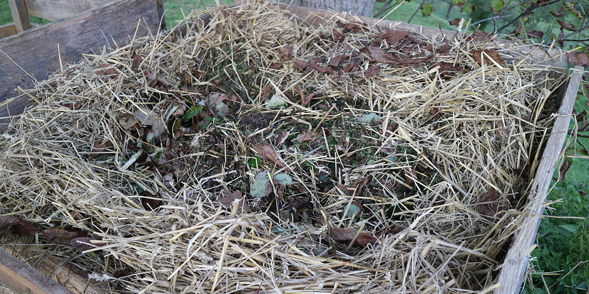 The bokashi method is superior compared to classic composting