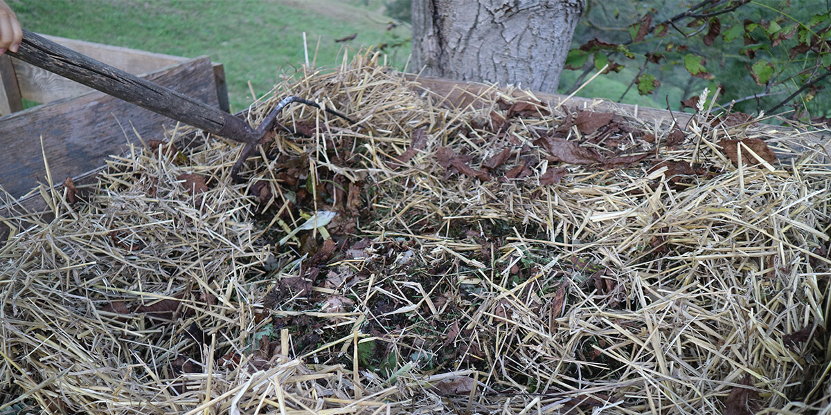 Traditional composting