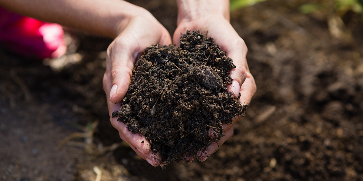 We must ensure that our garden and field soil contains life-inducing bacteria predominantly