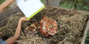 Warum kompostieren, wenn in der Natur alles normal funktioniert? 