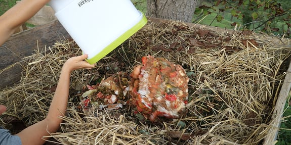 Warum kompostieren, wenn in der Natur alles normal funktioniert? 