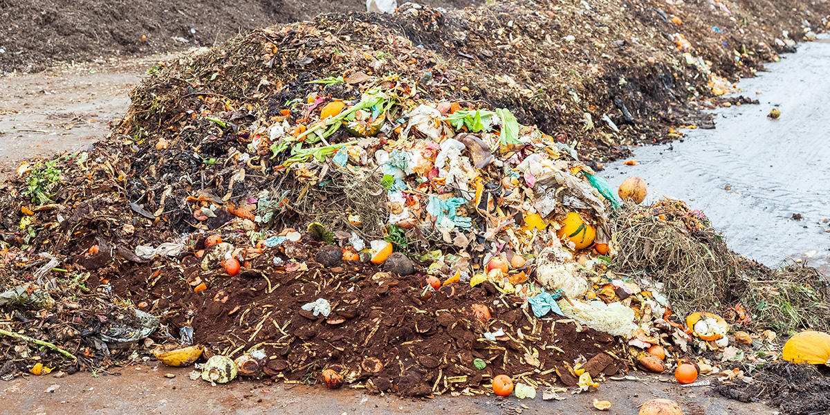 Bokashi composting may be one of the easiest ways to combat food waste in  landfills